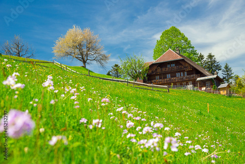 Plakat kwiat szwajcaria góra natura krajobraz