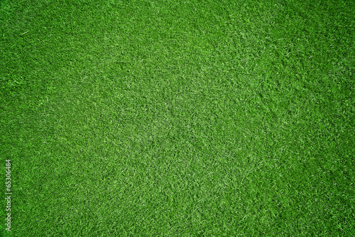 Obraz na płótnie pole trawa piłka nożna boisko sport