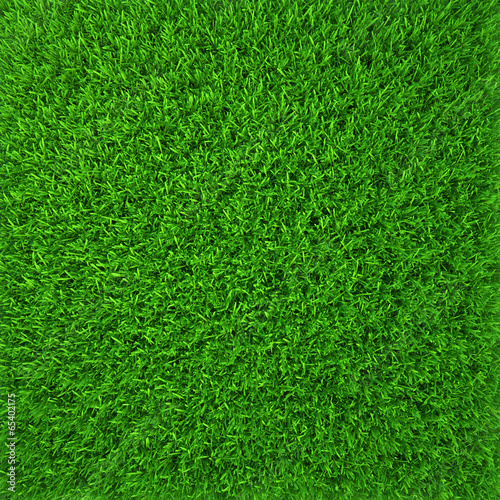 Fototapeta łąka trawa wzór świeży natura