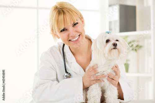 Fototapeta zwierzę medycyna kobieta portret pies
