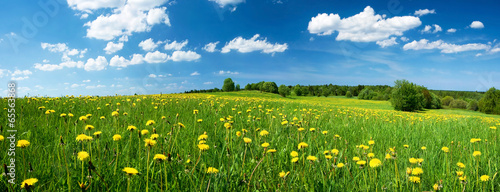 Plakat słońce piękny lato estonia wieś