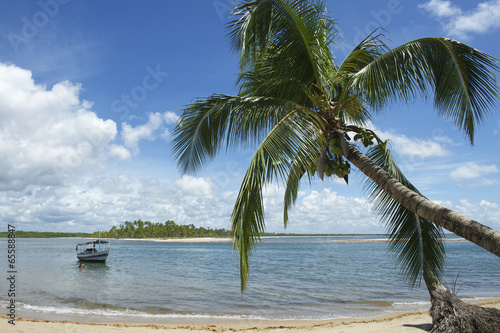 Plakat plaża brzeg palma tropikalny natura