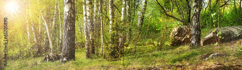 Fototapeta panorama dziki świeży wiejski