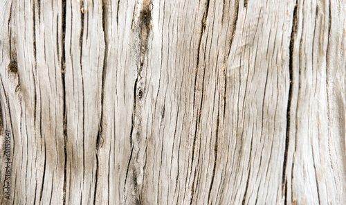 Fotoroleta ziarno tekstura zbliżenie drewno