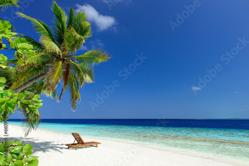 Fototapeta Tropikalna plaża, palma i leżak