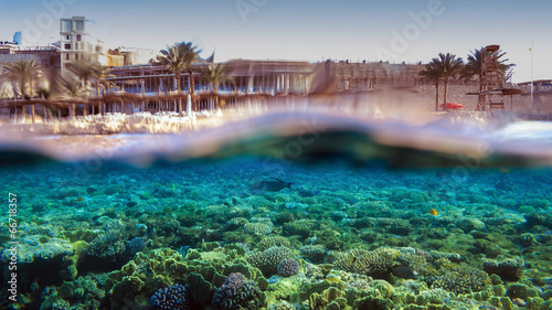 Naklejka widok morze podwodne egipt