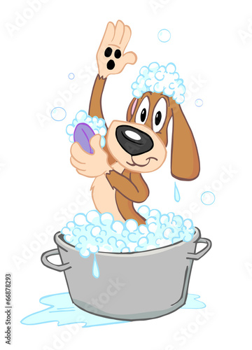 Obraz na płótnie Kąpiel psa