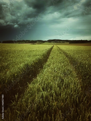 Naklejka rolnictwo pole żniwa sztorm