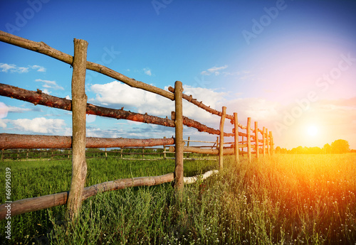 Obraz na płótnie wiejski trawa droga pastwisko