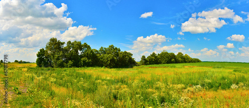 Fotoroleta trawa niebo pejzaż wiejski las
