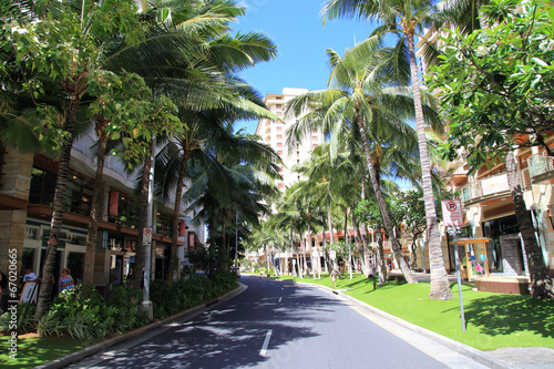 Plakat hawaje palma błękitne niebo krajobraz ulica