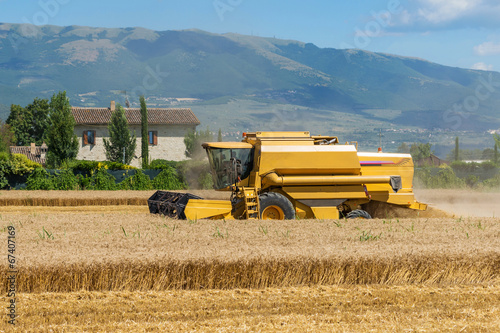 Fototapeta rolnictwo jedzenie wiejski maszyna ziarno
