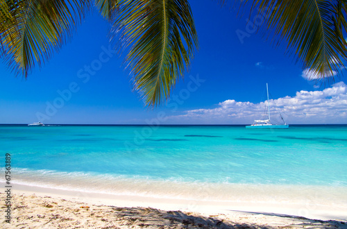 Naklejka raj karaiby natura egzotyczny słońce