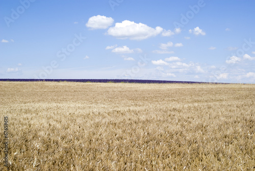Obraz na płótnie wieś francja panoramiczny