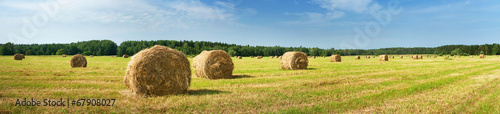 Fotoroleta łąka pole lato panorama