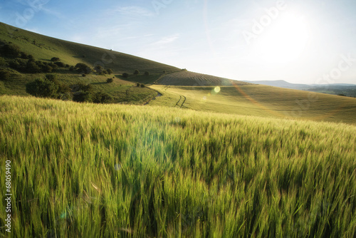 Fototapeta pszenica żniwa wieś niebo anglia