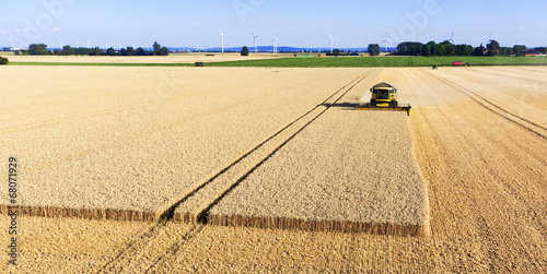 Obraz na płótnie rolnictwo pszenica krajobraz