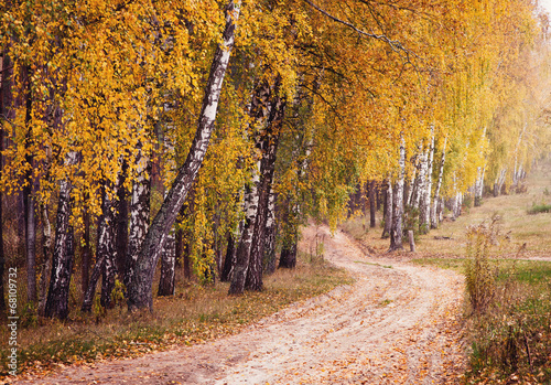 Fototapeta droga krzew jesień wiejski spokojny