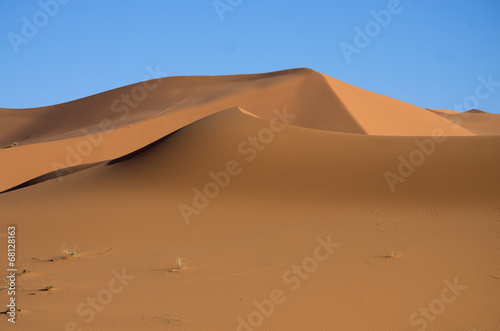 Naklejka afryka pustynia wydma upał