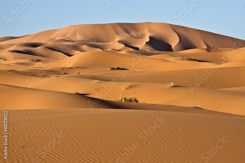 Naklejka fala pustynia afryka wydma