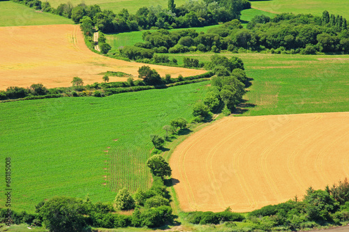 Fotoroleta wzór pole wierzba krajobraz trawa