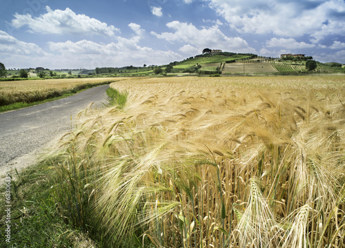 Fototapeta panorama pejzaż słoma pole