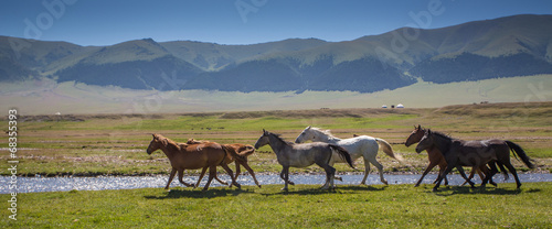 Obraz na płótnie ranczo zwierzę pejzaż trawa pastwisko