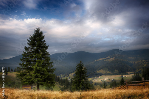 Fotoroleta trawa ukraina wzgórze góra wiejski