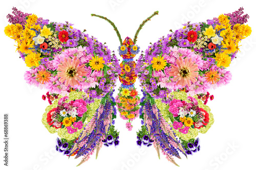 Fotoroleta wzór słonecznik motyl kwiat stokrotka