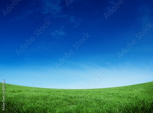 Plakat pole łąka trawa niebo natura