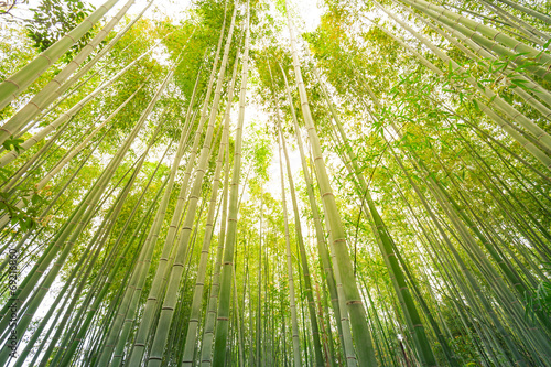 Fototapeta piękny pejzaż natura japoński