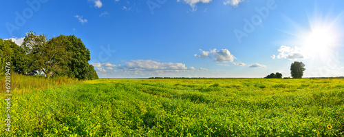 Fotoroleta panorama lato pejzaż