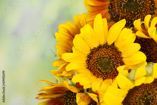 Fototapeta piękny ziarno bukiet słońce słonecznik