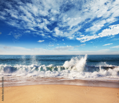 Obraz na płótnie plaża natura lato egzotyczny