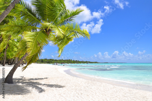 Naklejka Palmy na tropikalnej plaży