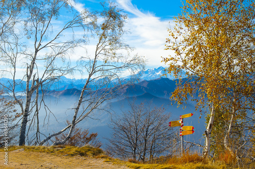 Fototapeta brzoza widok góra jesień pejzaż