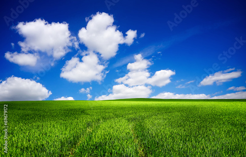 Naklejka natura łąka niebo świeży wzgórze