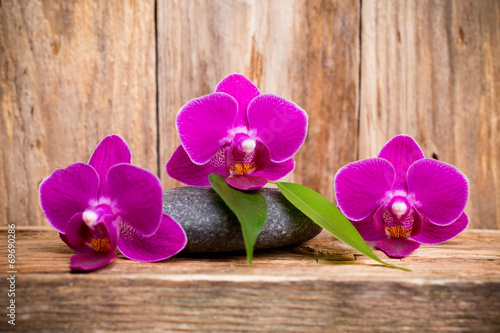 Plakat zdrowy spokojny masaż kwiat natura