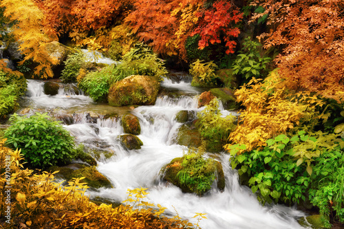 Fotoroleta alpy natura roślina jesień