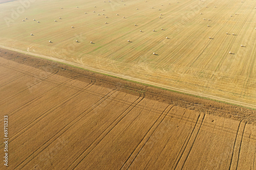 Fototapeta pszenica żniwa wiejski lato