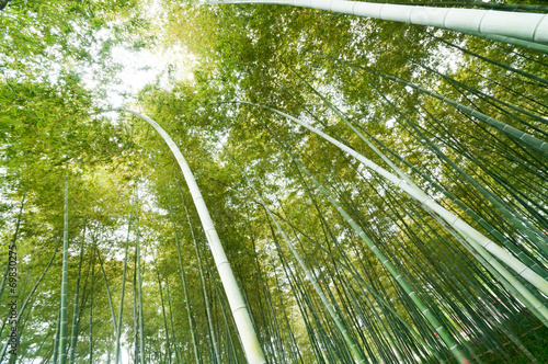 Fotoroleta bambus natura spokojny zen słońce