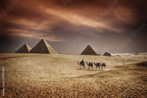 Naklejka zwierzę egipt piramida pejzaż pustynia
