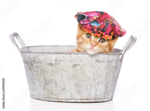 Fototapeta Kociak w kąpieli z czepkiem na głowie