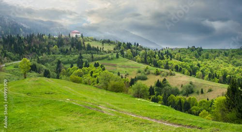 Fotoroleta wiejski trawa natura europa