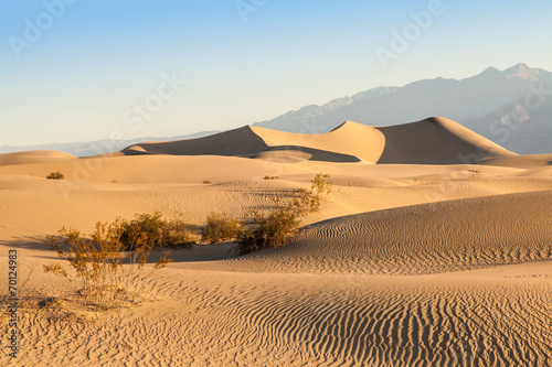 Obraz na płótnie park pustynia świt