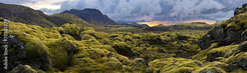 Fotoroleta roślina natura niebo narodowy islandia