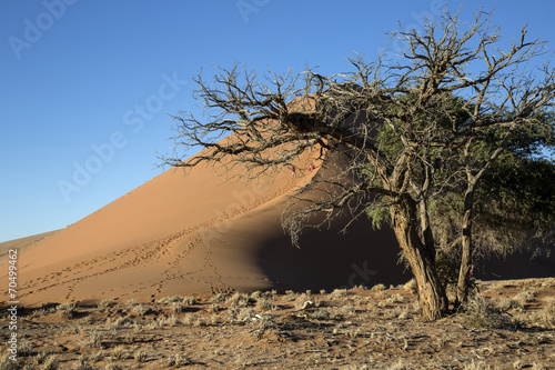 Fototapeta natura wydma afryka