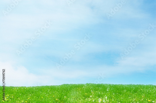 Fotoroleta ładny niebo trawa sztuka błękitne niebo