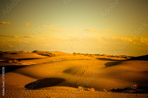 Fotoroleta słońce niebo dziki pustynia łąka