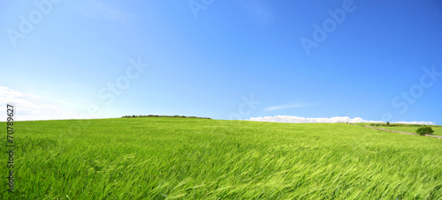 Plakat słońce krajobraz wzgórze pastwisko